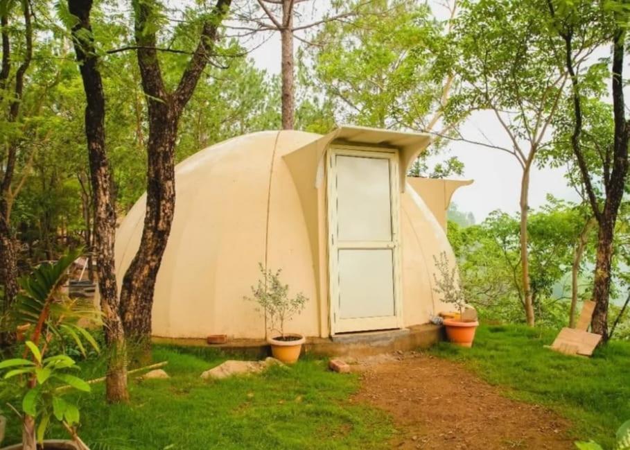 Jusgar Resort And Hote Dogadda 外观 照片